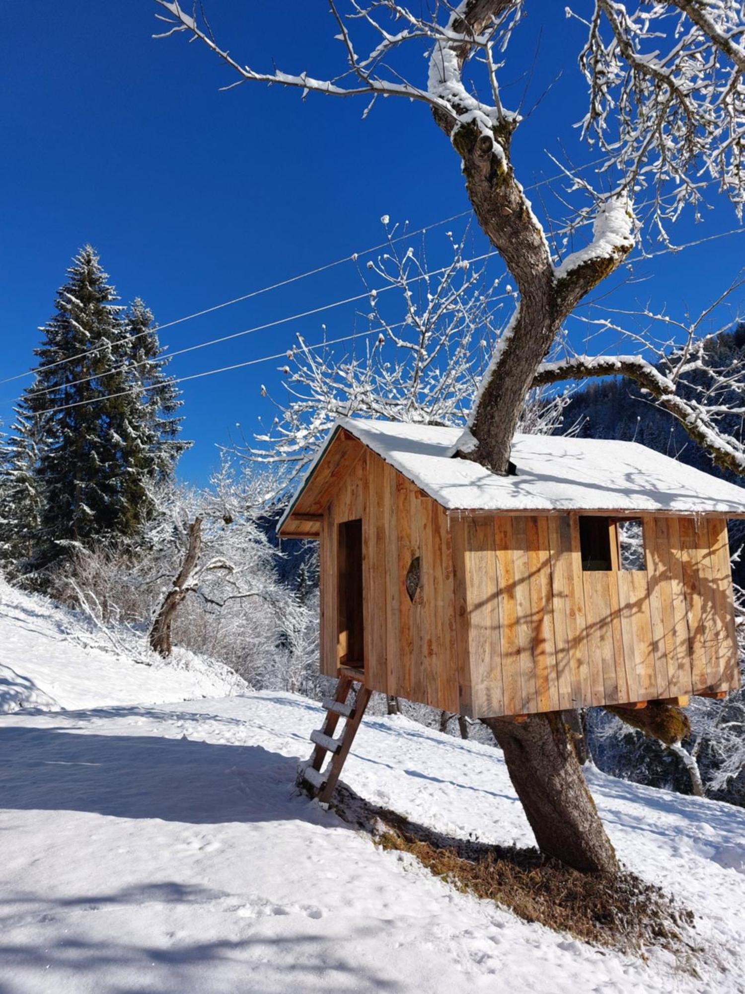 Landhaus Gruenjuwel Химмельберг Экстерьер фото